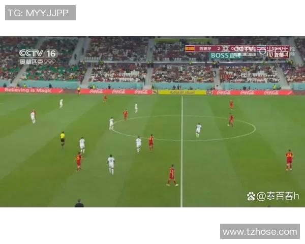 巴西对阵瑞士的比赛分析及赢盘预测解析