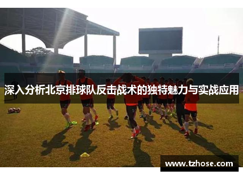 深入分析北京排球队反击战术的独特魅力与实战应用