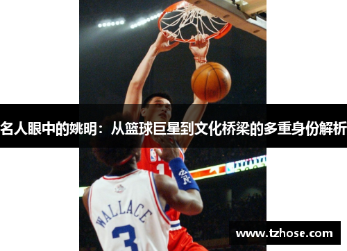 名人眼中的姚明：从篮球巨星到文化桥梁的多重身份解析