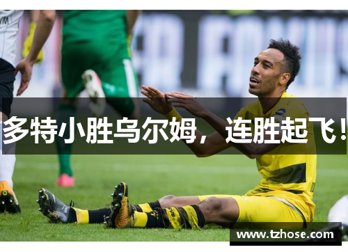 多特小胜乌尔姆，连胜起飞！
