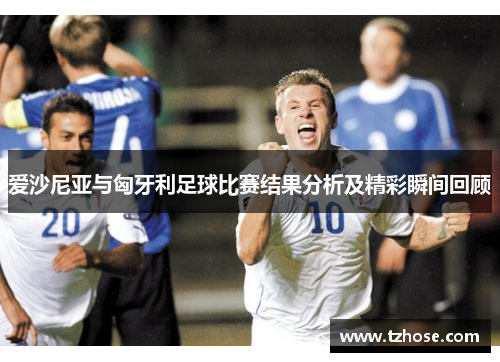 爱沙尼亚与匈牙利足球比赛结果分析及精彩瞬间回顾